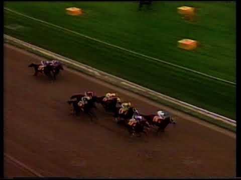 1991 Preakness Stakes
