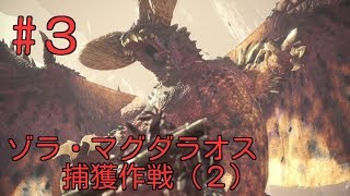 【MHW初見実況】#3　ゾラ・マグダラオス捕獲作戦（2）【モンスターハンター：ワールド】[初投稿シリーズ]