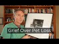 Grief Over Pet Loss How To Cope And What Needs To Change