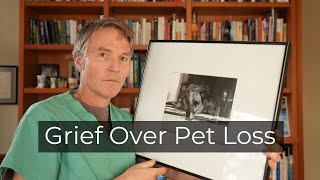 Grief over Pet Loss: How to Cope and What Needs to Change