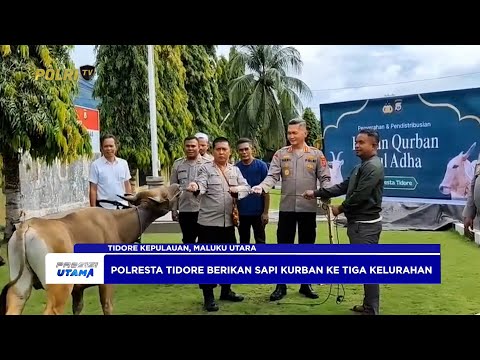 POLRESTA TIDORE SERAHKAN 3 EKOR SAPI QURBAN KE TIGA KELURAHAN
