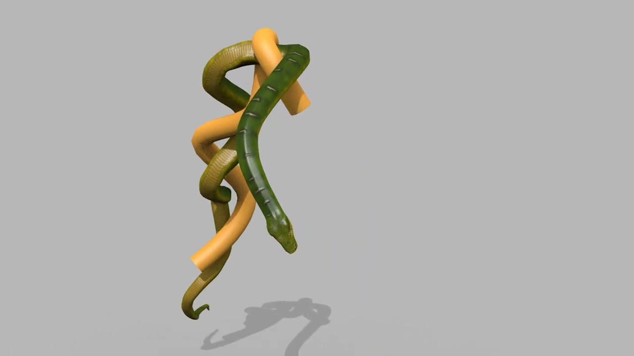 Pro Green Boa Snake - 8k - 3d animated 3D Model
