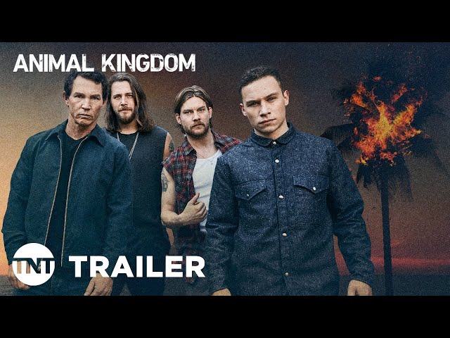 Animal Kingdom returns July 11: Watch the Season 5 trailer - PRIMETIMER