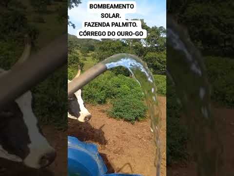 BOMBEAMENTO SOLAR. FAZENDA PALMITO. CÓRREGO DO OURO-GO.