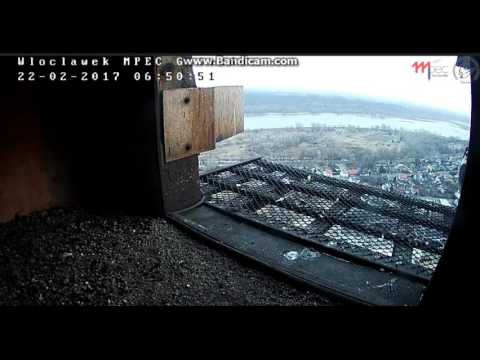 MPEC Włocławek Poland  - Female with visit 2017 02 22 06 46 - 06 55