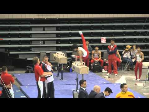 Kakeru Tanigawa 翔谷川 - Pommel Horse - 2016 RD761 Invitational