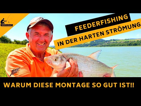 Futterkorbmontage in der harten Strömung