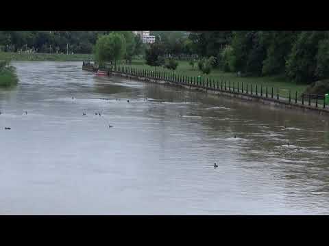 Majdnem kiönt a Kis-Szamos...