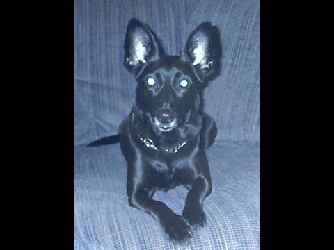 DJ HELMIC - REMIX - 23.07.2016 - Underworld - Cowgirl