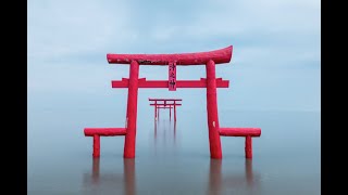 佐賀県有明海に生息する正体不明の生き物とは？