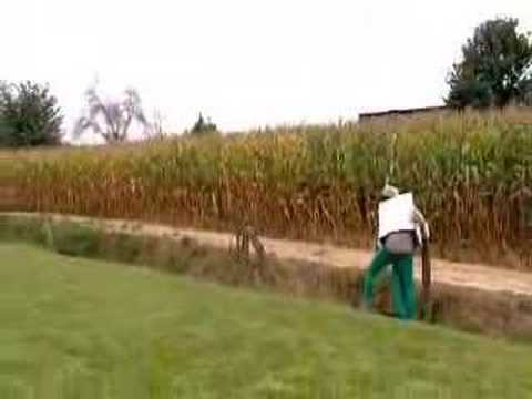 Willys en marjetten - De Aliens