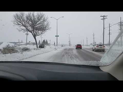 Snowstorm - March 12, 2022