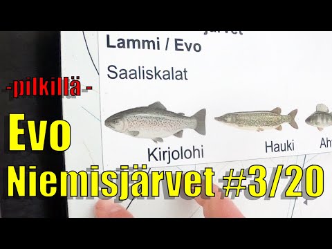 Evon niemisjärvet #3/2020