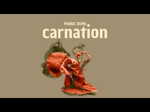 Phonic Bomb - Carnation