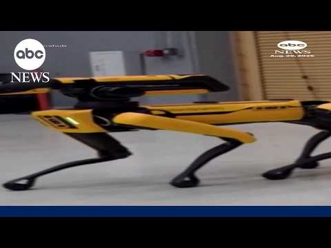 ICE plans to purhase robot dogs