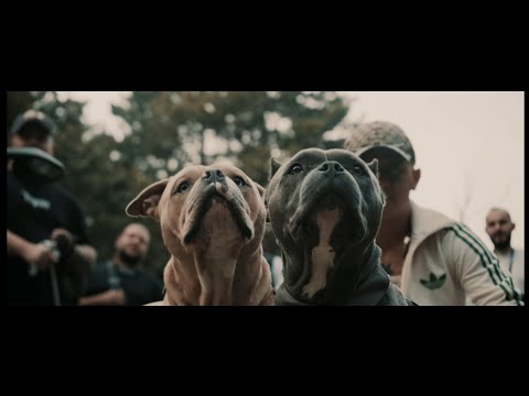 BU769 - Schnapp in der City (prod by Cassellbeats) Official 4K Video