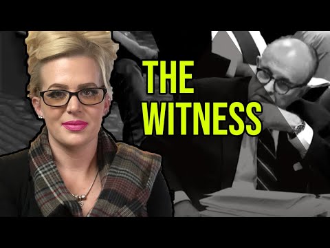 Alleged Voter Fraud Witnesses at Michigan Hearing | Repeated Effort to Win the Election Claim