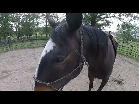 Smurphy  May 21st, 2024