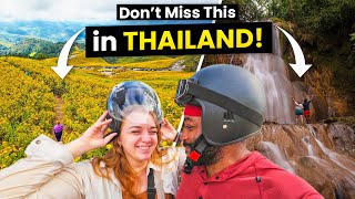 5 Reasons Northern Thailand Should Be on Your Bucket List!