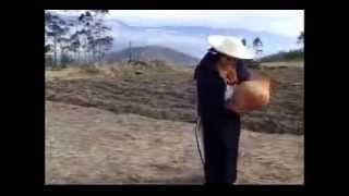 Inti Raymi De Punyaro - San Juanito