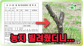 농지 빌려줬더니 나무가 죽었다ㅣ 소작 주기 전 꼭 해야할 4가지