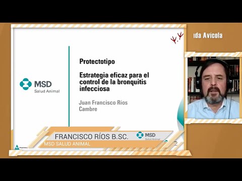 , title : 'Protectotipo: estrategia eficaz para el control de la Bronquitis infecciosa'