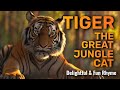 Tiger The Great Jungle Cat | Animals in the Jungle | Rhyme Singing Melodies & Kids Song