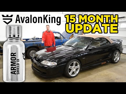 Avalon King Armor Shield IX Update after 15 Months Review