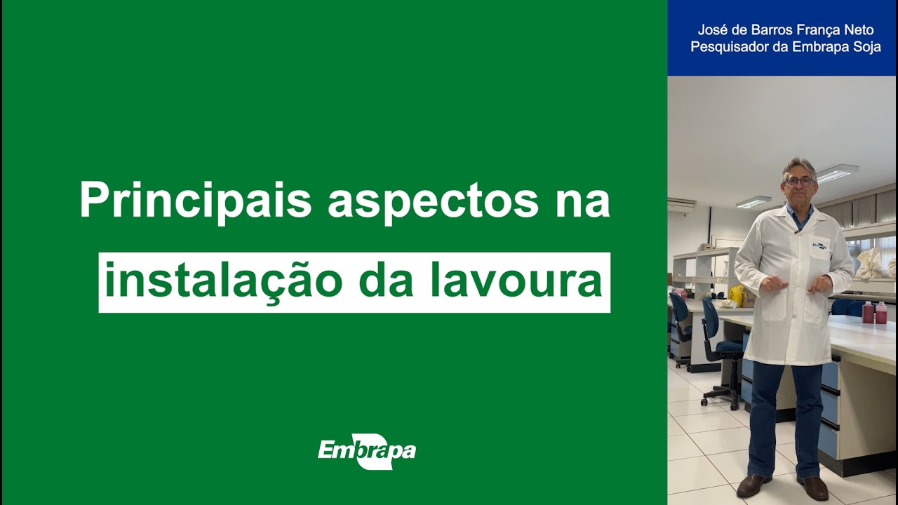 Principais aspectos na instalação da lavoura