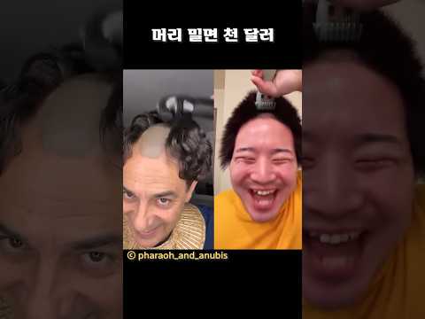 머리 밀면 천 달러