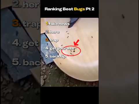 Ranking Best Bugs Pt 2