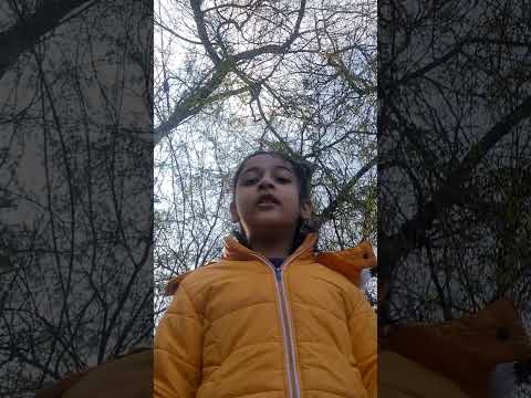 #animalfacts with Mihika & Misha - This is about  #horses