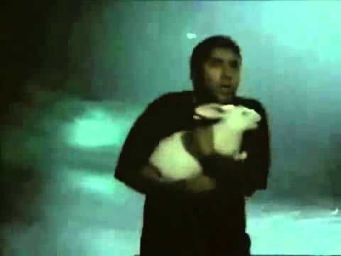 Skittles:Singing Rabbit Commercial