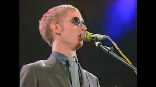 Divine Comedy - Something For The Weekend - T In The Park 1996