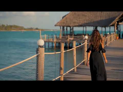 Rastafair x Shirfine - IIIusionary