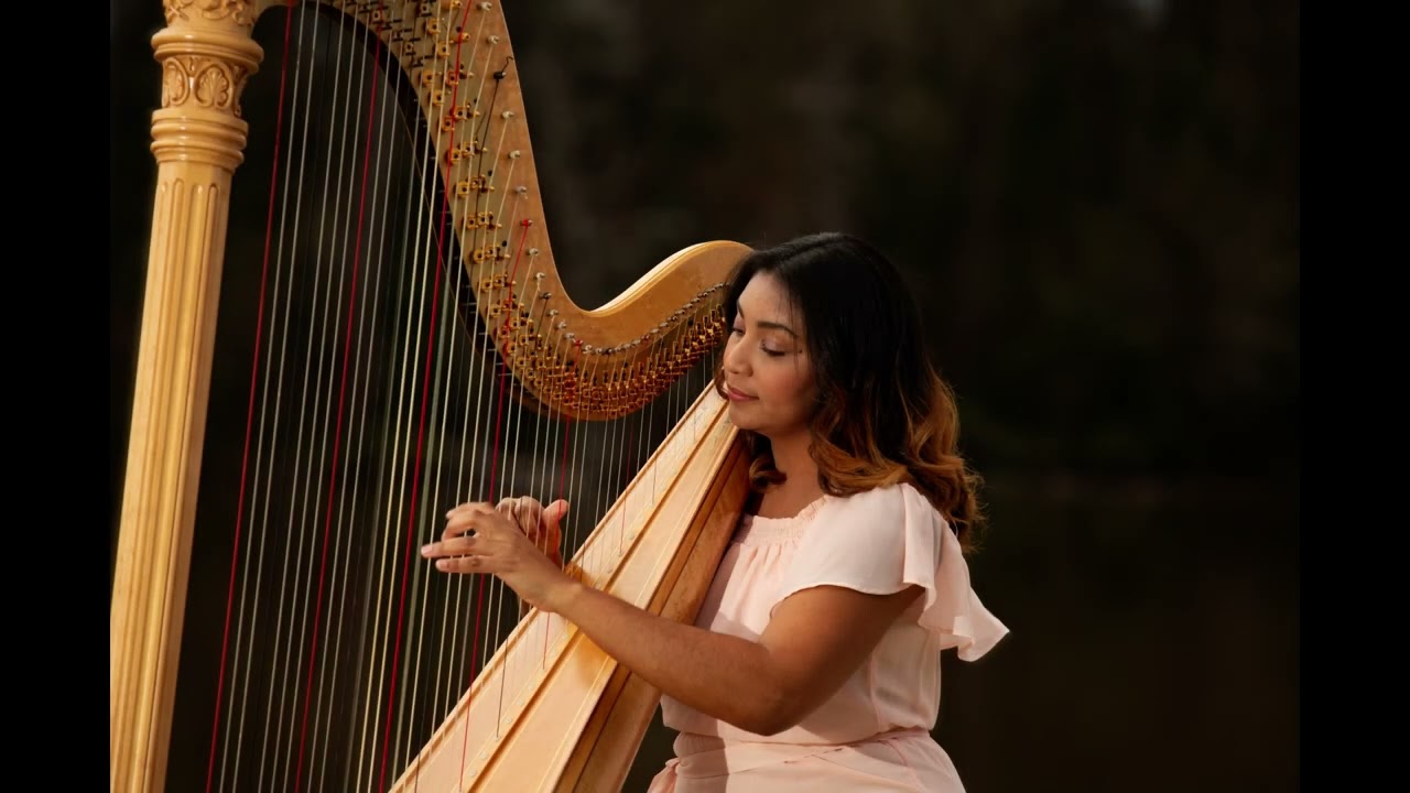 Promotional video thumbnail 12 for Pianist, Harpist and Singer