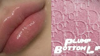 Plump Bottom Lip