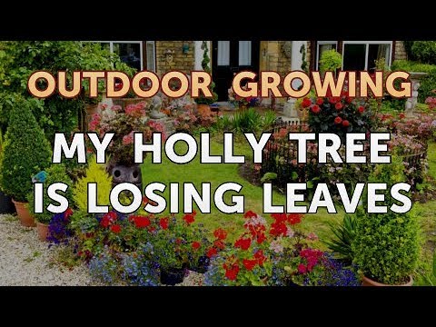 Will Salt or Vinegar Kill Bamboo