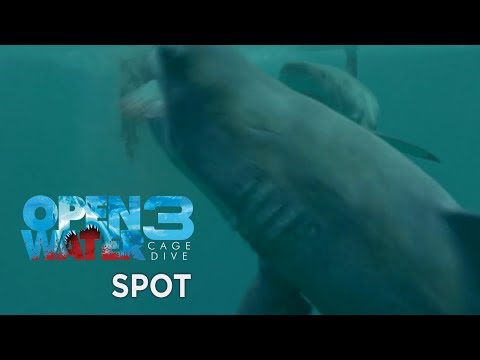 Open Water 3 - Cage Dive - Spot 15"