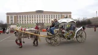 Масленица 2016.   Великий Новгород.