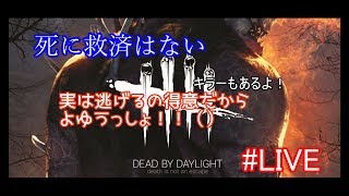 【生放送】 いっぱいやるDBD（フレンドと）
