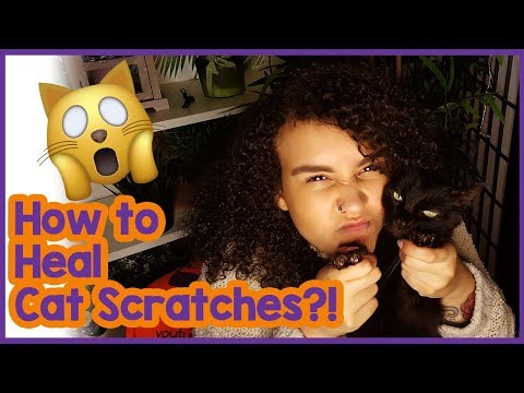 What to do if a cat scratches you - How to heal cat scratches!