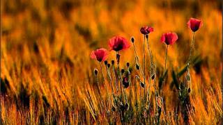 José Afonso - &quot;Maio maduro Maio&quot; do disco &quot;Cantigas do Maio&quot;* (1971)