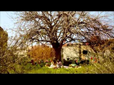 وليد عوض - حدّك خلّيني        OFFICIAL Video Clip Walid Awad NEW 2012 ARABIC