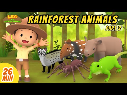 Rainforest Animals Minisode Compilation (Part 2/2) - Leo the Wildlife Ranger | Animation | For Kids