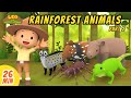 Rainforest Animals Minisode Compilation Part 2 2 Leo The Wildlife Ranger Animation For Kids