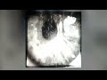 S3RL GPF Pika Girl 2024 Slowed Reverb