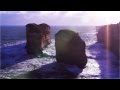 PAUL REEF Vs ICEHOUSE Endless Ocean COUSTAN Edit