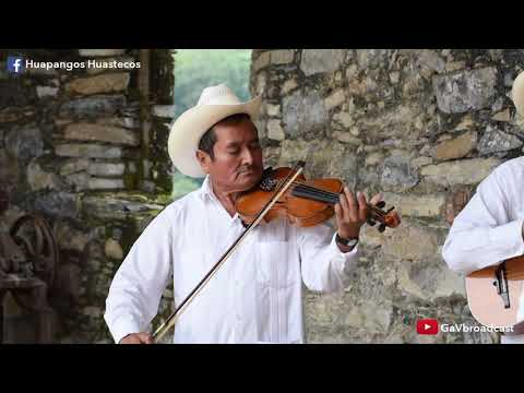 Trío Los Lázaros - El Caballito