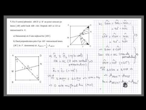 Problema cu arii (pregatire pentru examen, clasa VII-VIII), 29 iulie 2019